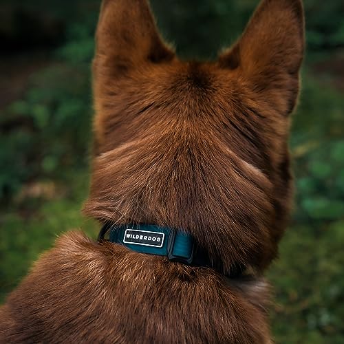 Wilderdog Waterproof Dog Collar - Repels Water & Dirt - Small 11"-15" - Pacific Blue - color: Pacific Blue, size: Small