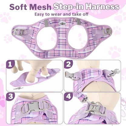 Gyuzh Dog Harness and Leash Set, 3-in-1 Step in No Pull Harness Vest Collar for Small Dogs & Cats, Lightweight Breathable Mesh Reflective Plaid with Padded Handle (Purple, XXS) - color: Purple, size: XXS
