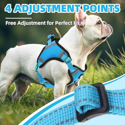 PUPTECK Dog Harness Small Sized Dog, Step in Adjustable Reflective Dog Vest Harness Escape Proof, No Pull Soft Padded Harness Easy Control, Blue, XS - color: Blue, size: XS (CHEST: 11.5"-16")