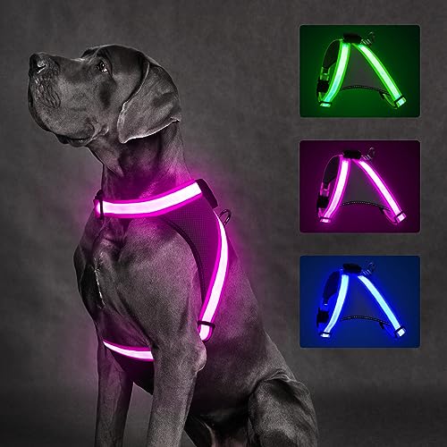 ChalkLit Light Up Dog Harness, No Pull Led Dog Harness Glow-in-The-Dark for Night Walking, USB Rechargeable Lighted Safety Vest for Medium Large Dogs, Adjustable Soft Mesh Fully Illuminated (Pink, M) - color: Pink, size: Medium