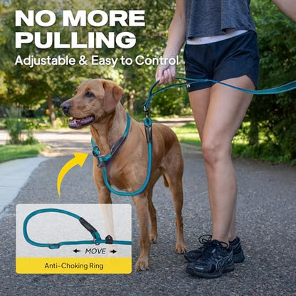Fida 2-in-1 Slip Leads for Dogs with Double Handles, Tangle Free Leash for Large Dogs that Pull, Heavy Duty No Pull Training Leash Reflective Soft Padded for Large & Medium Breed(6ft,Blue) - color: Blue
