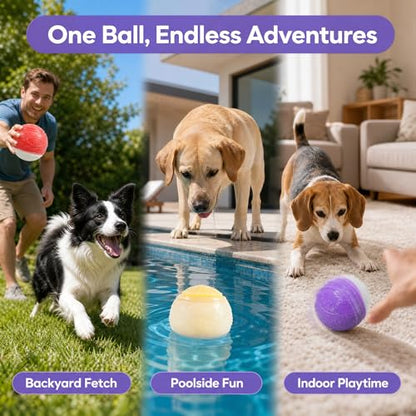 6Pcs Squeaky Glow in the Dark Dog Balls, Durable Rubber Glow Balls for Dogs, High Bounce Interactive Dog Glow Ball, 2.5Inch Universal Size for All Dogs—Indoor Outdoor Light Up Ball (Glow in the Dark)