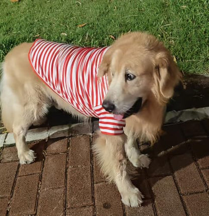 Turtleneck Dog Shirt Cute Doggie Embroidery Super Soft Dog Sweatshirt Stretchy Striped Puppy Pullover for Cats Small Medium Large Dogs (Red Striped, 5X-Large) - color: Red Striped, size: 5X-Large