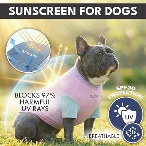 Spark Paws Sunblock Dog T-Shirt, SPF30 Protection, Lightweight Breathable Quick Dry for Dogs with Sensitive Skin - Bees & Gelato (Set of 2) - Size S - color: Bees & Gelato, size: S: 5-10lbs