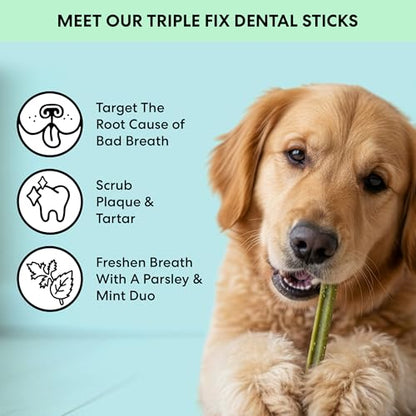 The Pets Table Dental Chews for Dogs 28 Sticks (20 oz), Chicken, Mint & Parsley | Dental Treats/Teeth Cleaning Chews | Removes Plaque and Tarter | Dental Sticks for Bad Breath Treatment | Dental Bones - size: 1.25 Pound (Pack of 2)