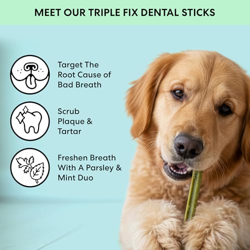 The Pets Table Dental Chews for Dogs 28 Sticks (20 oz), Chicken, Mint & Parsley | Dental Treats/Teeth Cleaning Chews | Removes Plaque and Tarter | Dental Sticks for Bad Breath Treatment | Dental Bones - size: 1.25 Pound (Pack of 1)