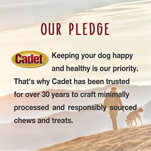 Cadet Stuffed Shin Bone, Long-Lasting Dog Chew Bones for Aggressive Chewers, High Protein Filled Bone Dental Chew for Dogs, Peanut Butter Flavor Filling, 3-4" for Small Dogs, 3 Pack - size: 3 Count (Pack of 1)