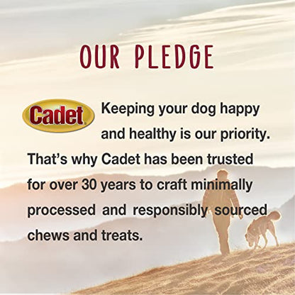 Cadet Stuffed Shin Bone, Long-Lasting Dog Chew Bones for Aggressive Chewers, High Protein Filled Bone Dental Chew for Dogs, Peanut Butter Flavor Filling, 3-4" for Small Dogs, 3 Pack - size: 3 Count (Pack of 1)