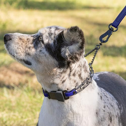 Herm Sprenger Black Stainless Steel Dog Collar with Quick Release ClicLock Buckle and Biothane Insert Training Collar Made in Germany (Blueberry Royal, 16in x 2.25mm(Neck Size up to 13-14in)) - color: Blueberry Royal, size: 16in x 2.25mm(neck size up to 1
