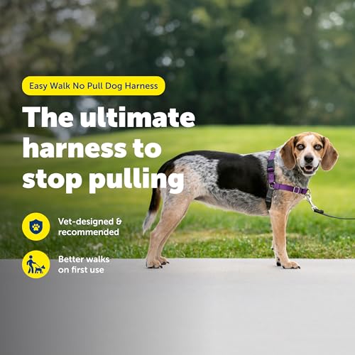 PetSafe Easy Walk No-Pull Dog Harness - Ultimate Harness to Help Stop Pulling - Pull-Free Walks - Take Control & Teach Better Leash Manners - Patented Martingale Loop Design - Deep Purple,Small/Medium - color: Deep Purple/Black, size: Small/Medium