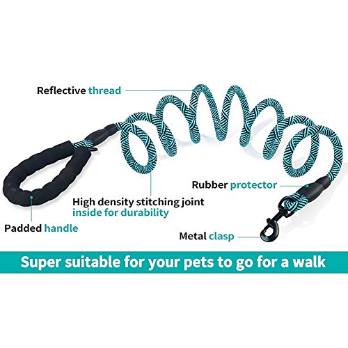 Heavy Duty Dog Leash Rope Comfortable Padded Handle Reflective Pet Leashes For Medium Large Dogs Walking Training Hiking White