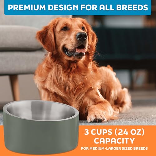 Master Pet Supply Stainless Steel Slanted Dog Cat Food Bowl - 24 oz Heavy Duty - Camo Patrol, Double Wall Insulated, Non-Slip Elevated Bowl for French Bulldogs Pugs Cats, Anti Rust Dishwasher Safe - color: Camo Patrol, size: 3 Cups (24 oz)