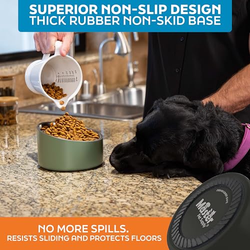 Master Pet Supply Stainless Steel Slanted Dog Cat Food Bowl - 24 oz Heavy Duty - Black Velvet, Double Wall Insulated, Non-Slip Elevated Bowl for French Bulldogs Pugs Cats, Anti Rust Dishwasher Safe - color: Black Velvet, size: 3 Cups (24 oz)
