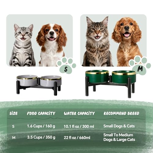 Elevated Ceramic Dog Bowl Set - Double Dishes with Stainless Steel Stand – Raised Feeding Bowls for Cats and Small Dogs - Food & Water Set - 5" / 1.6 Cups (160 g / 300 ml) - Green - color: Green, size: S