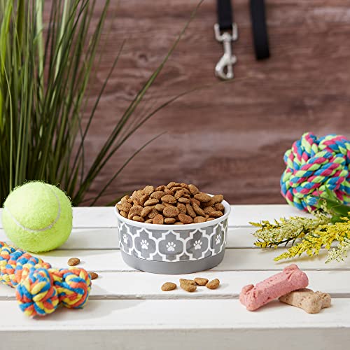 Bone Dry Lattice Collection Pet Bowl & Canister, Single Dish, Small 4.25x2", Gray - color: Gray, size: Small Single Dish, 4.25x2"