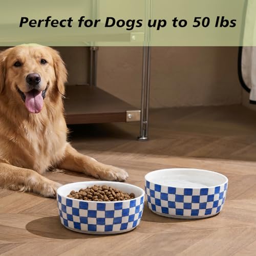 6.4 inch Ceramic Hand Painted Basic Dog Bowl Set of 2 with Anti-Skid Rubber Base, Food and Water Bowls for Small Pets,Blue - color: Blue