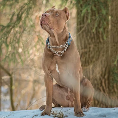 Reflective No-Pull Martingale Dog Collar with Chain - Cartoon Dog Pattern, Adjustable Anti Pull Training Collar for Medium, Large & XL Dogs (Large) - color: 13, size: L(Neck15"-22")