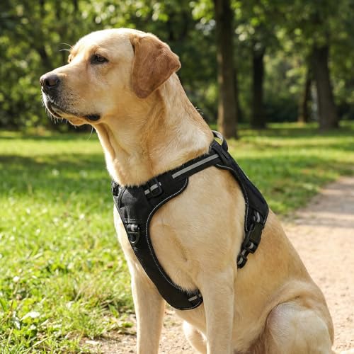 Amazon Basics No-Pull Dog Harness, Adjustable Front Clip, Escape Proof Tactical Vest, X-Large, Black - size: X-Large