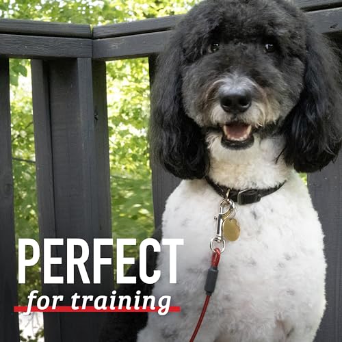 5 Foot Training Tie Out Cable - size: 5 Foot
