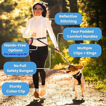 Dog Poop Bag Holder with Dispenser & Storage Pouch - Includes Adjustable Reflective Dog Leash (6FT Bungee, Padded Handles) - Durable Leash for Walking, Training & Travel (Aqua) - color: Aqua