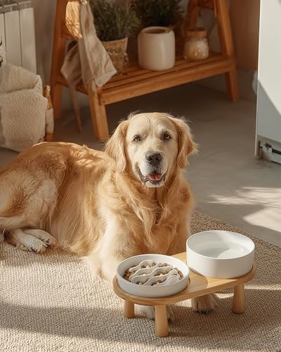 Ceramic Slow Feeder and Water Bowl Set for Medium and Large Dogs, 2.0 Cups Dog Slow Feeder(30oz) and 70oz Water Bowl Set, 8in, White - color: White, size: 8-Inch