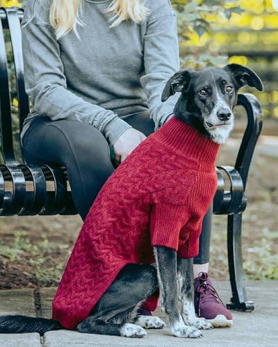 Blueberry Pet Classic Fuzzy Textured Knit Pullover Turtle-Neck Dog Sweater in Burgundy Red, Back Length 16", Pack of 1 Clothes for Dogs - color: Burgundy Red, Turtle-neck, size: 16 inch