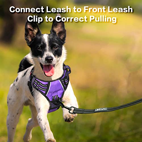 PoyPet No Pull Dog Harness, No Choke Front Clip Reflective Dog Vest with Soft Padded Vertical Handle, 3 Leash Attachments for Small Medium Large Dogs (Purple,L) - color: Purple, size: Large