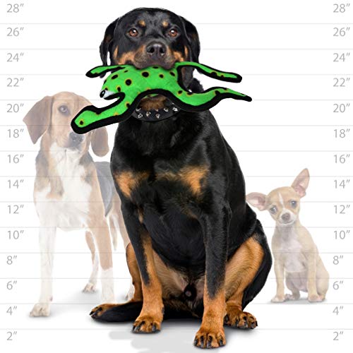 TUFFY - World's Tuffest Soft Dog Toy - Desert Phrog Leaping - Squeakers - Multiple Layers. Made Durable, Strong & Tough. Interactive Play (Tug, Toss & Fetch). Machine Washable & Floats - color: Green Leaping Phrog