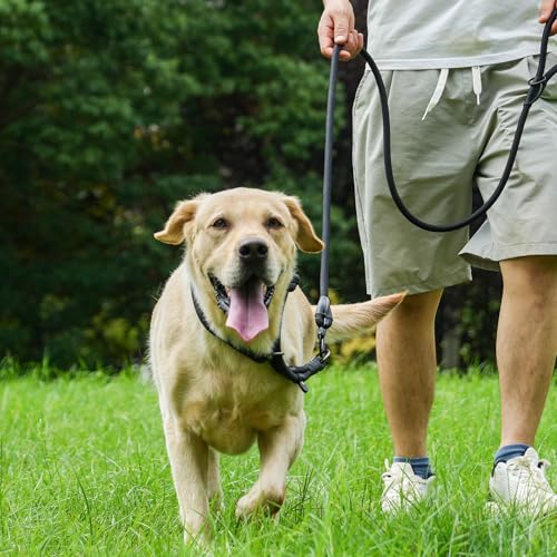 Rope Dog Leash with Two Handles, 6 Foot Heavy Duty Dog Leash with Aviation Aluminum Auto Locking Carabiner, Strong Nylon Pet Lead for Small, Medium, Large Dogs (Blue, 6FT-Two Handle) - color: Blue, size: 6 Foot Two Handle