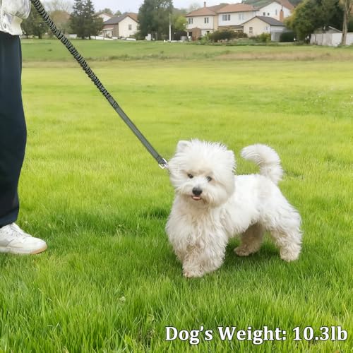 WYuZe 4ft Bungee Dog Leash Reflective Soft Handle Small Medium Dogs No Pull | Stretch Shock Absorbing Nylon Leash for Anti-pull Walking Training - color: Army Green