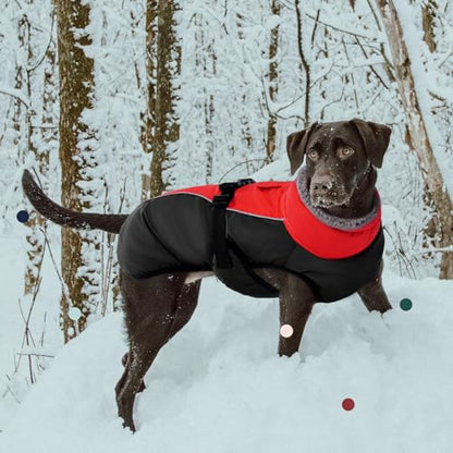 IECOii Extra Warm Reflective Adjustable Dog Jacket - Winter Coat with Buckle Fleece Turtleneck for Small to Extra Large Dogs - color: Red, size: Small(Chest:12.6-16.5 in)