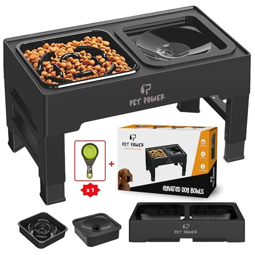 Elevated Dog Bowls with Collapsible Scoop, Slow Feeder Dog Bowls & No-Spill Water Bowl, Raised Dog Bowl Stand 4 Adjustable Heights for Small, Medium & Large Dogs - color: No-Spill Water Bowl & Slow Feeder Black
