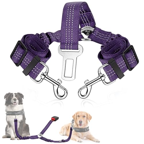 SlowTon Dog Seat Belt, Double Dog Seatbelt Adjustable Vehicle Safety Leash with Elastic Bungee Buffer, Reflective No Tangle Y Shape Two Dog Harness Seat Belt Splitter for Pets Car Trip (Purple, M) - color: H.Purple, size: 2 Medium in 1