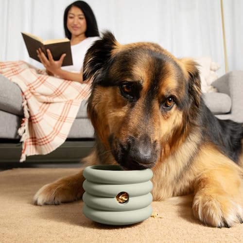 Should We Go? Interactive Dog Enrichment Toy with Freezer Plug, BPA-Free Silicone Puzzle Dog Freeze Bowl & Treat Dispenser for Mental Stimulation, Ideal for Kibble & Frozen Licks, Fits 10 oz, Medium - size: Medium