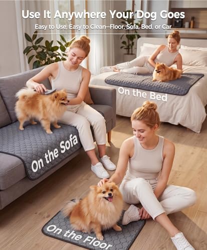 Doglike [Upgraded Silver-Ion Odor] Washable Pee Pads for Dogs – Ultra Absorbent, Leak-Proof, Non-Slip & 5-Hour Quick-Drying Reusable Puppy Training Pads for Home, Crate & Sofa,24" x 18" (2 Pack) - size: 24" x 18"【Industry #1 Ag+ Fabric Application】