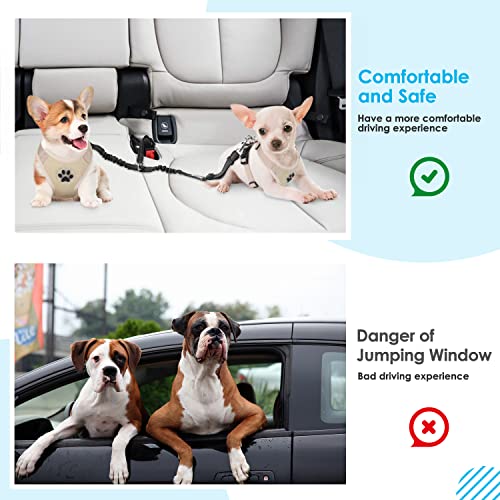 SlowTon Dog Seat Belt, Double Dog Seatbelt Adjustable Vehicle Safety Leash with Elastic Bungee Buffer, Reflective No Tangle Y Shape Two Dog Harness Seat Belt Splitter for Pets Car Trip (Black, S) - color: A.Black, size: 2 Small in 1