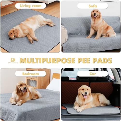 DAHAPYBOO Extra Large Washable Pee Pads for Dogs 65x48,4 Pack | Reusable Puppy Pads for Dogs Non-Slip Waterproof Pet Training Pads for Crate, Playpen, Bed, Sofa,Whelping Box, Potty Training - size: 65X48-4P