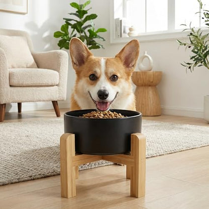 hjn Elevated Ceramic Dog Bowl with Bamboo Stand, Raised Pet Feeding Station for Small Medium Dogs Cats, Modern Design with Anti-Slip Base (Black, 3.6Cup) - color: Black, size: 3.6Cup