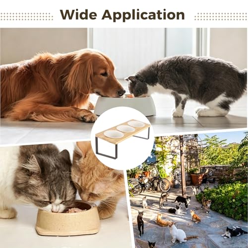 Raised Cat Food Water Bowls, Elevated Tilted Cat Feeder, Set of 3 Ceramic Dishes, Orthopedic Pet Stand for Indoor Cats, Triple Dog Food Station, Home Utility Pet Supplies