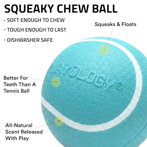 Playology Dog Toys | Squeaky Chew Ball for Dogs, Value 3-Pack | Peanut Butter Scented Small Dog Balls | Bouncy Floating Chew Toys for Fetch