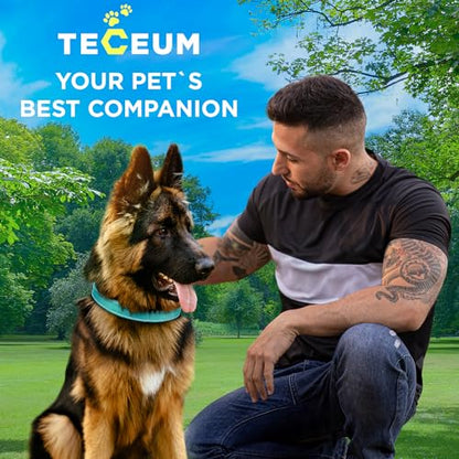 TECEUM Reflective Dog Collar – Aquamarine – M – Extra Soft Padding – Basic Nylon Pet Collar – Quick Release Buckle – Fits Small, Medium and Large Dogs, Puppies, Cats – ESA & Service Dog Options - color: Aquamarine, size: Medium