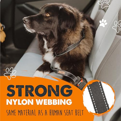 Mighty Paw Dog Seat Belt for Car - Safe Distraction Free Driving, Heavy-Duty Design with Aviation Grade Aluminum Carabiner, Adjustable Dog Seatbelt Harness for Small, Medium and Large Pets - style: Buckle Attachment (Most Popular)