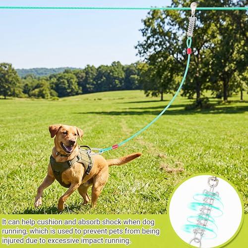 Dog Tie Out Cable - 100 ft Long Dog Cable with 10 ft Run Cable for Yard Training Running Camping Hiking Outdoor - Heavy Duty Chew Proof Lead Leash with Buffer Spring for Small Medium Large Dogs - color: Green