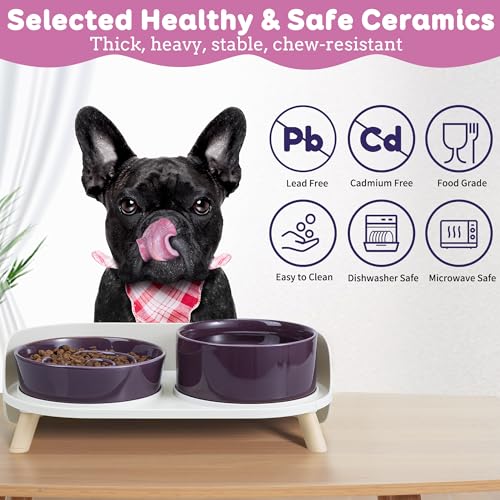 Elevated Slow Feeder Dog Bowls - Ceramic Food and Water Bowl Set with Stand - Raised Pet Dishes for Small and Medium Sized Dogs - color: Purple
