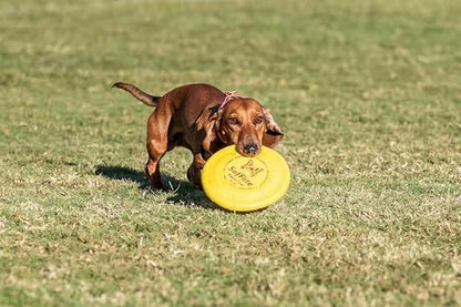 Hyperflite Pup SofFlite Soft Dog Flying Disc, 2 Pack, Small Dogs | Ultra Soft, Competition Approved, 2 Pack | 7-inch, 90g | Small Dogs | Yellow