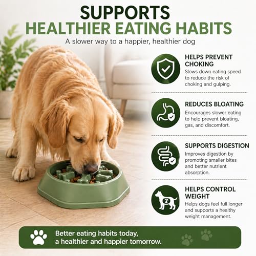 Slow Feeder Bowl for Small & Medium Cats & Dogs - Durable Slow Feeding Bowl with Non-Slip Base - Anti-Choking Puzzle Food Bowl for Dogs That Helps Mental Stimulation & Reduces Fast Eating-Green - color: Green