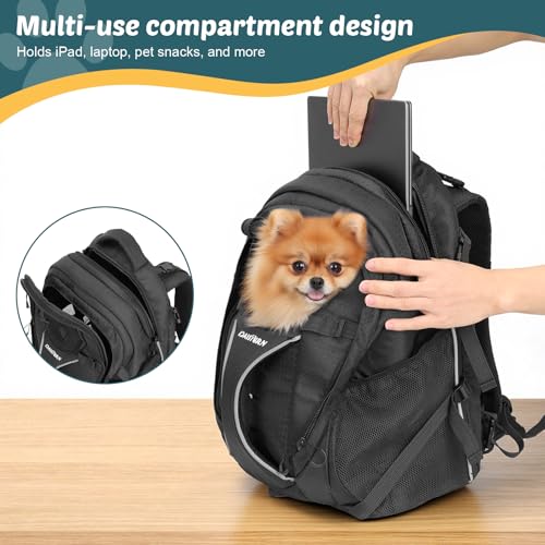 Dog Backpack Carrier for Hiking, Pet Travel Bag up to 18 lbs, 2-in-1 Foldable Cat Backpack with Laptop Compartment, Reinforced Ventilated 600D Nylon Rucksack for Walking Camping Commuting - color: Black