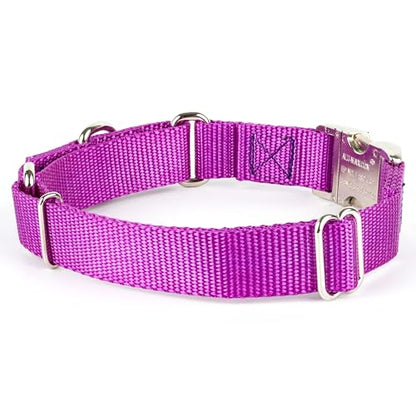 Country Brook Petz - Martingale Dog Collar - Heavy Duty Nylon Adjustable Martingale Dog Collar with Premium Buckle for Small Medium Large Breeds (5/8 Inch, Extra Small, Bright Purple) - color: Bright Purple, size: Extra Small (Pack of 1)