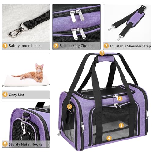 Soft-Sided Cat/Dog/Pet Carrier, Collapsible Pets Travel Carriers for Big Cats/Small Dogs with Shoulder Strap & Removable Mat, Mesh Puppy Carry Bag, Up to 16 Lbs, TSA Airline Approved(Purple) - color: Purple, size: 17"L x 11"W x 11"H
