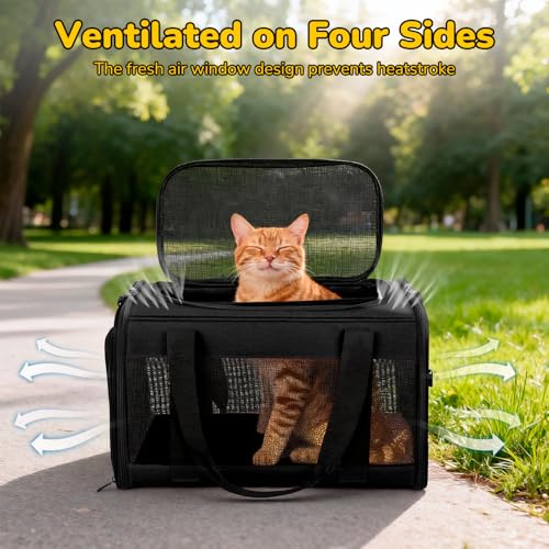 Hipubby Cat Carrier Dog Carrier for Pets Up to 16 Lbs, Soft-Sided Pet Travel Carrier for Cats and Small Dogs, Airline Approved Pet Carrying Case with Shoulder Strap & Removable Mat - Black - color: Black